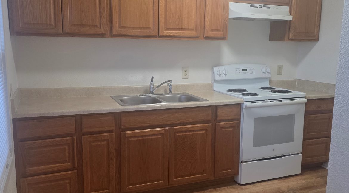 summer tree 2 kitchen