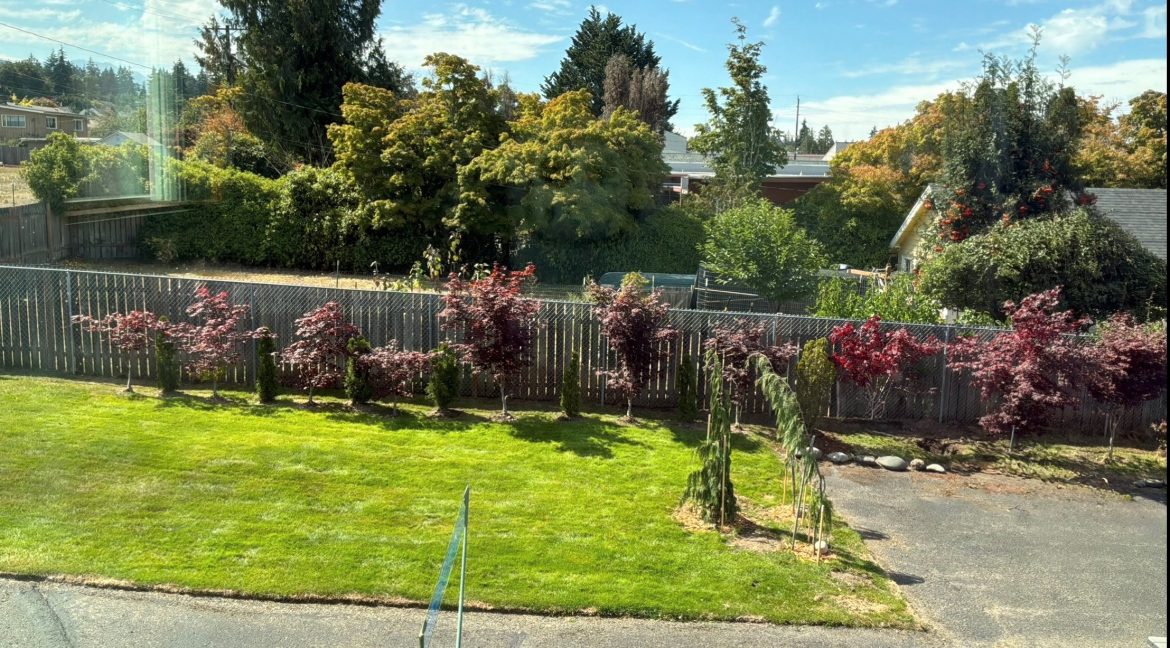 Yard